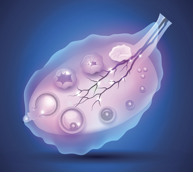 武汉高龄三代试管口碑前五医院深度解析：同济、协和领衔，附真实用户评价与医生推荐